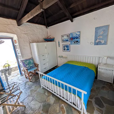 Blue Horizon House *